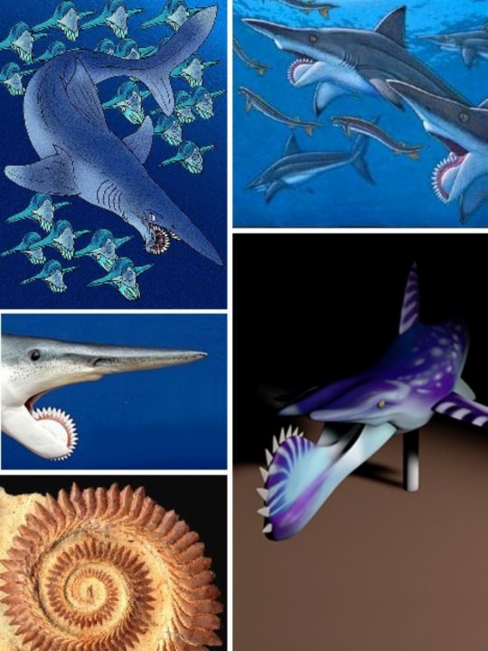 Whorl-tooth Sharks (Helicoprion)