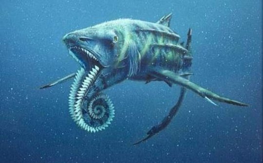 Whorl-tooth Sharks (Helicoprion)
