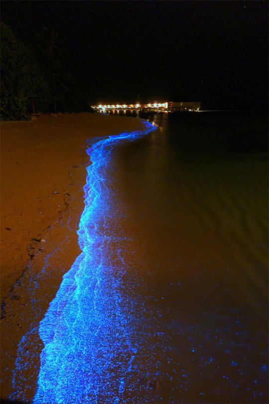 Светящийся пляж на Мальдивах