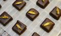 შოკოლადი მწერებით საფრანგეთიდან (8 ფოტო)
