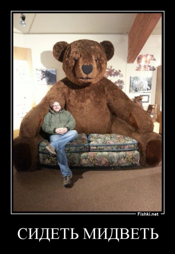 დათვო, არ გაინძრე!
