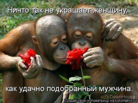 აი მესმის ჯენტლმენი