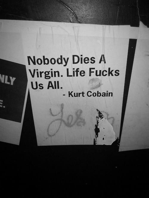 kurt cobain