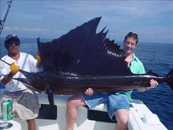 ეს თევზი სახელად აფროსანი 109კმ.სთ სიჩქარით ცურავს და ყველაზე სწრაფ მოცურავედ არის მიჩნეული.