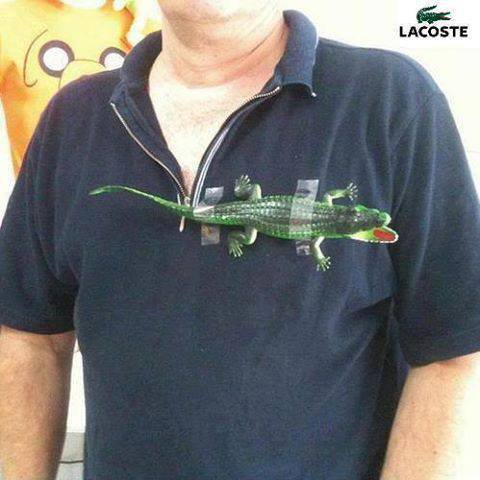 "LACOSTE"