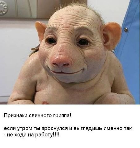 აბა ვის გავს?