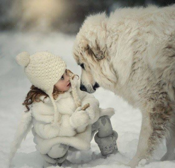 პატარა გოგონა და დიდი ძაღლი