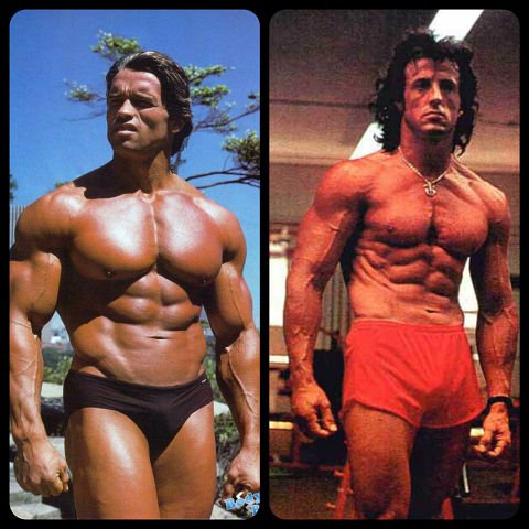 Arnold Schwarzenegger თუ Silvester Stallone?