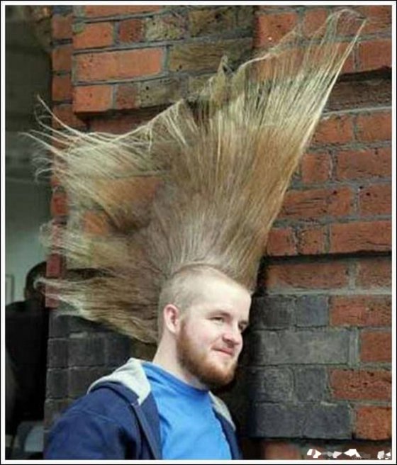 crazy hairdos უცნაური ვარცხნილობა