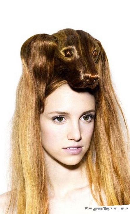 crazy hairdos უცნაური ვარცხნილობა