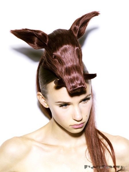 crazy hairdos უცნაური ვარცხნილობა