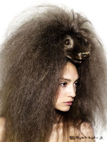 crazy hairdos უცნაური ვარცხნილობა