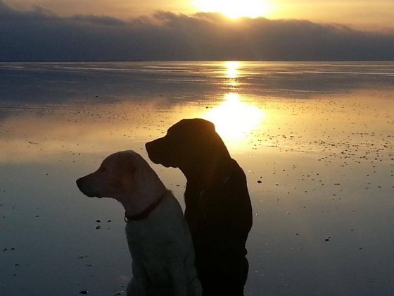 Lovers On The Beach...