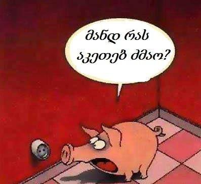 მანდ რას აკეთებ ძმაო?