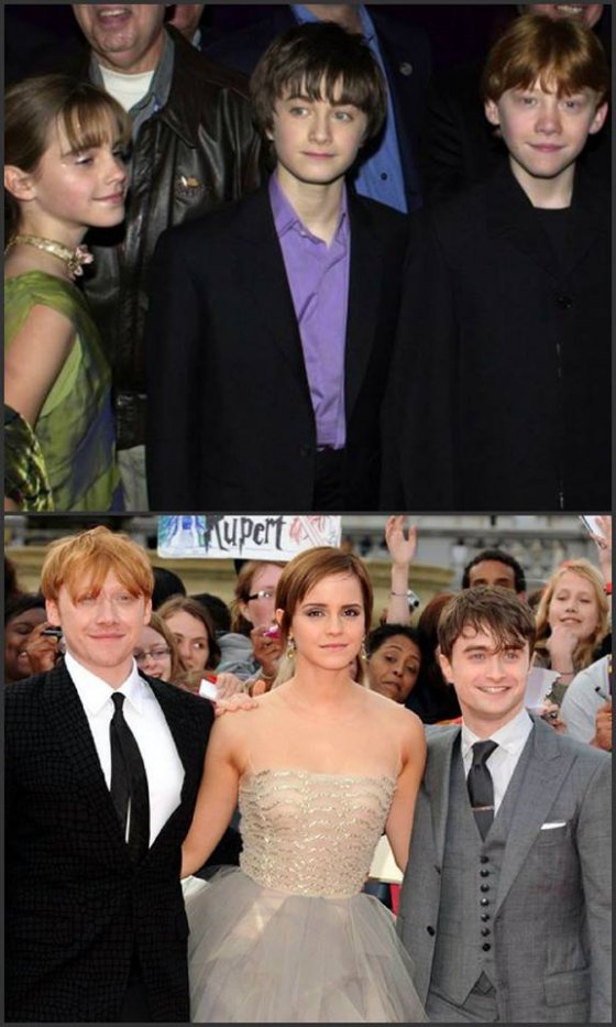 Harry Potter- პირველი და ბოლო პრემიერა