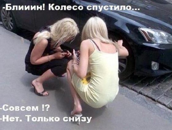 ქალი მძღოლების ლოგიკა.