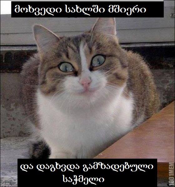 მიხვედი სახლში...