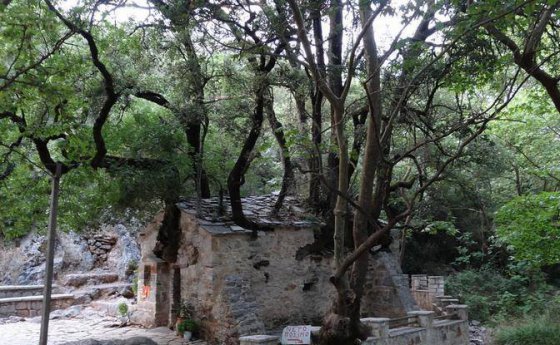 წმინდა თეოდორას სახელობის ეკლესია საბერძნეთში,რომელზეც 18 ხეა ამოსული,რომლებსაც ფესვები არ აქვთ