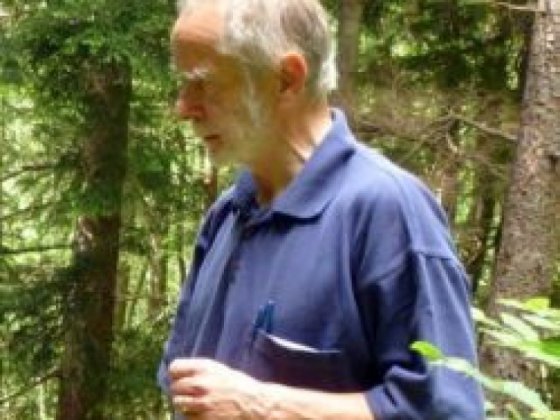 ბორჯომ-ხარაგაულის ტყეში დაკარგული გერმანელი მეცნიერი გარდაცვლილი იპოვეს
