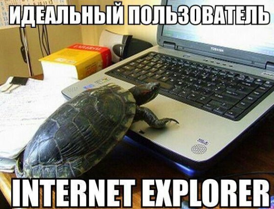 internet explorer-ის იდეალური მომხმარებელი