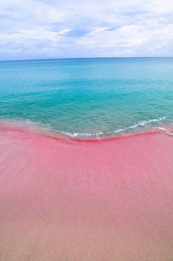 ყველაზე ლამაზი პლაჟი მსოფლიოში-ვარდისფერი პლაჟი ჰავაიზე