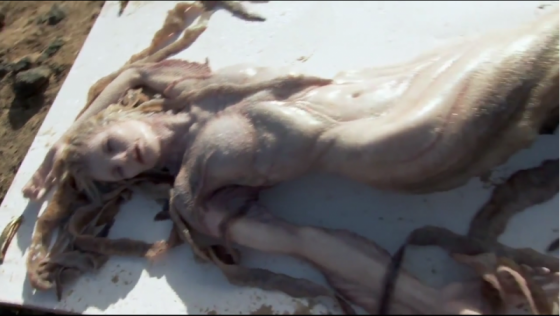 ინტერნეტში მკვდარი ქალთევზას ფოტოები ვრცელდება