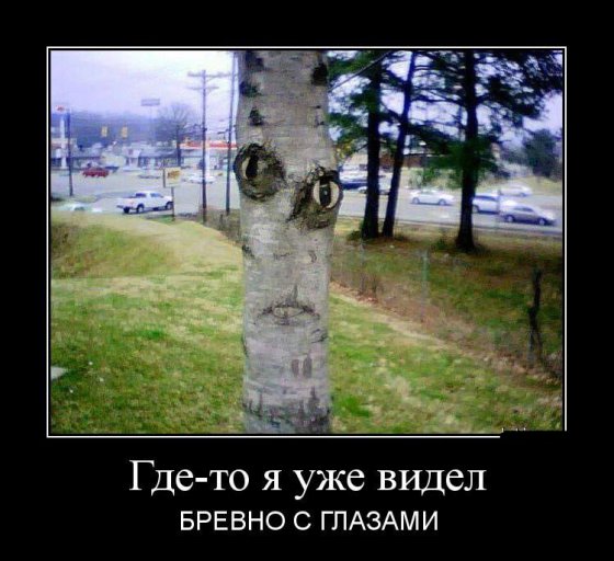 თვალებიანი  ხე გინახავთ?