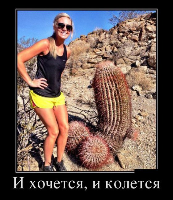 ორი უკიდურესობა
