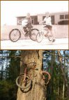 მიტოვებული ველოსიპედი 100 წლის შემდეგ
