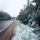 18 ივნისს  რუსეთის ქალაქ ტვერში თოვლი  მოვიდა